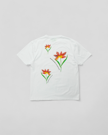 New Amsterdam || Tulip Tee - White