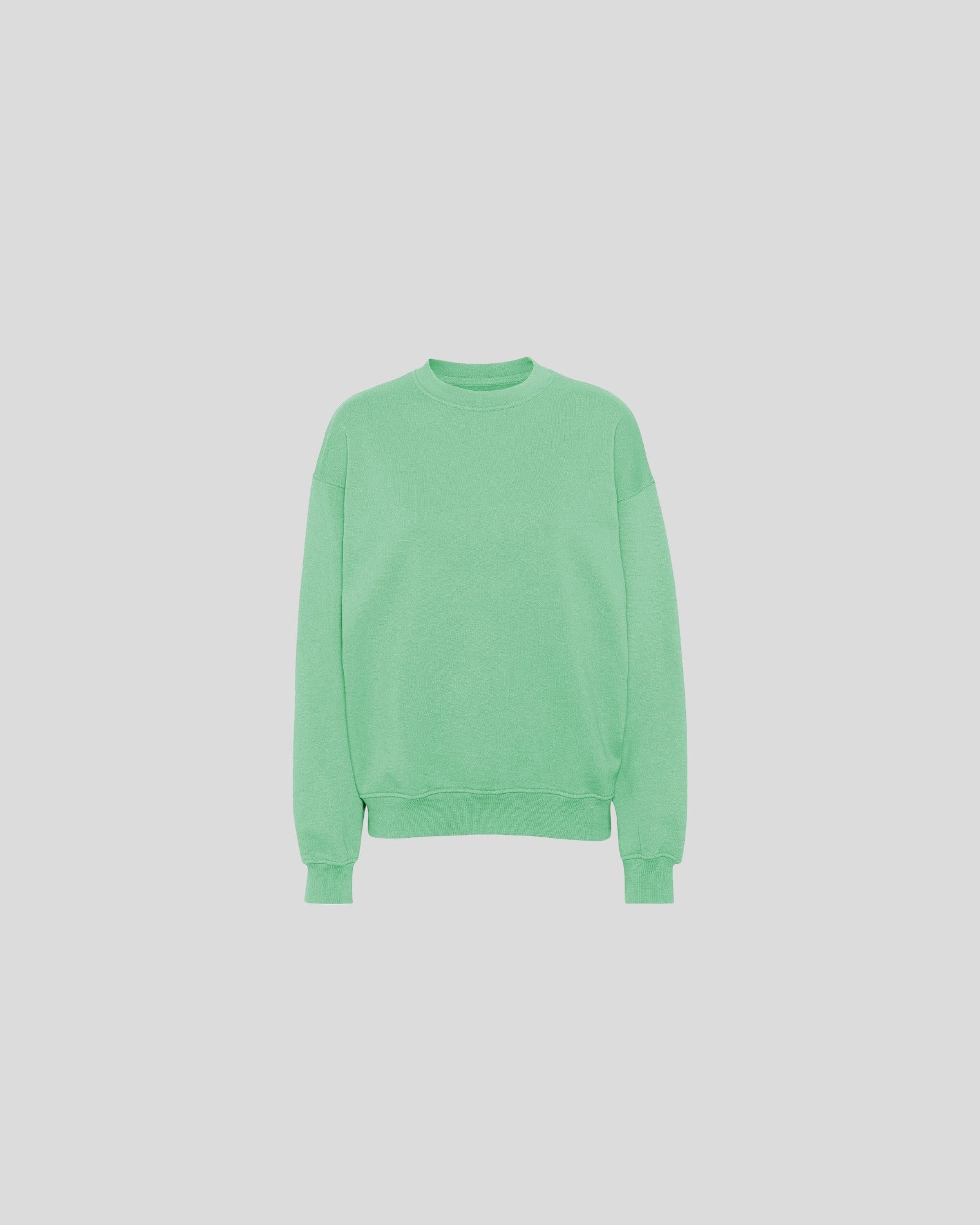 Colorful Standard || Organic Oversized Crew - Seafoam Green Colorful Standard