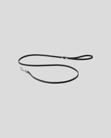Carhartt || Script Studs Dog Leash Carhartt