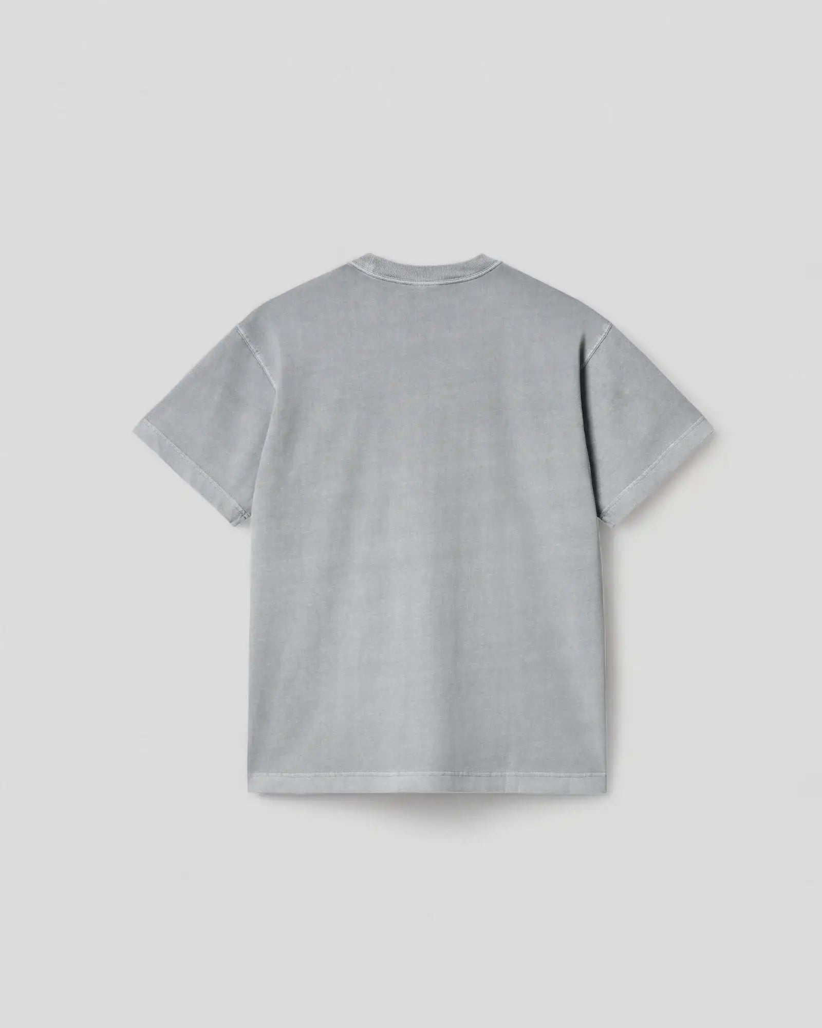 Carharrt || Vista - T-shirt - Mirror Garment Dyed Carhartt