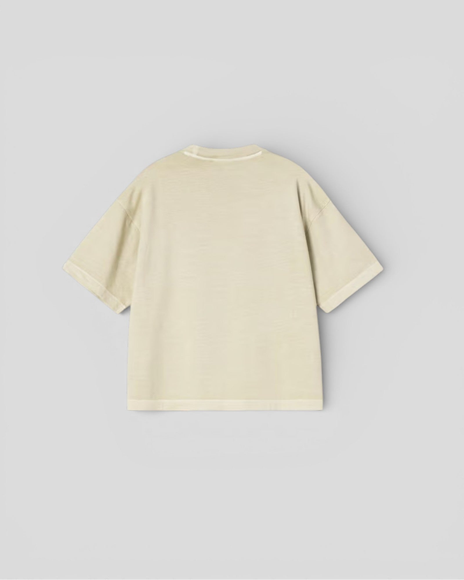 Carhartt || W' S/S Nelson T-Shirt - Stone Garment Dyed Carhartt
