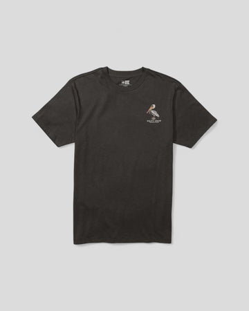 Salty Crew || Perched SS Tee - Black - M" Salty Crew